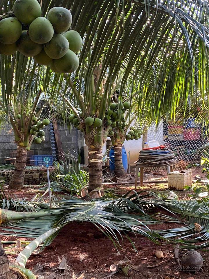 Chính chủ cần bán gấp căn nhà vườn đẹp tại phường xuân tân, tp. long khánh, đồng nai