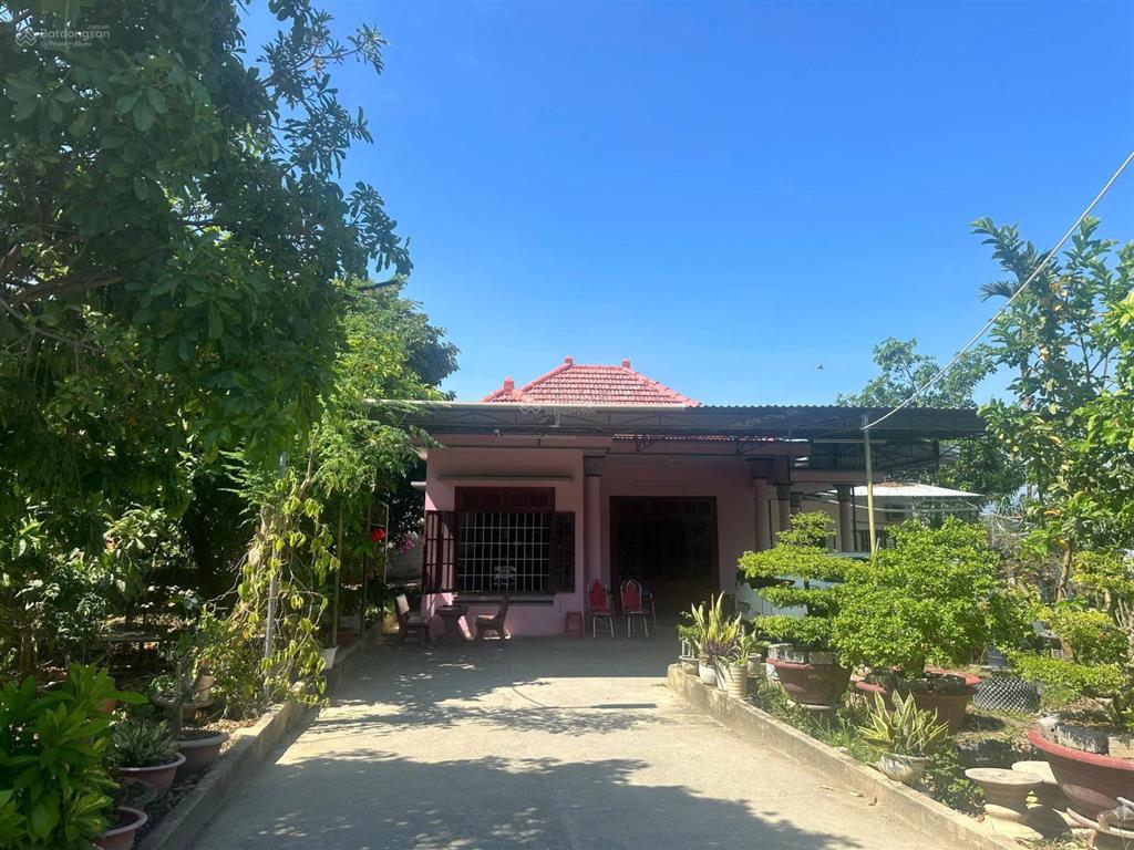 Chính chủ cần bán gấp căn nhà vườn cây ăn quả ngay thị trấn diên khánh, khánh hòa