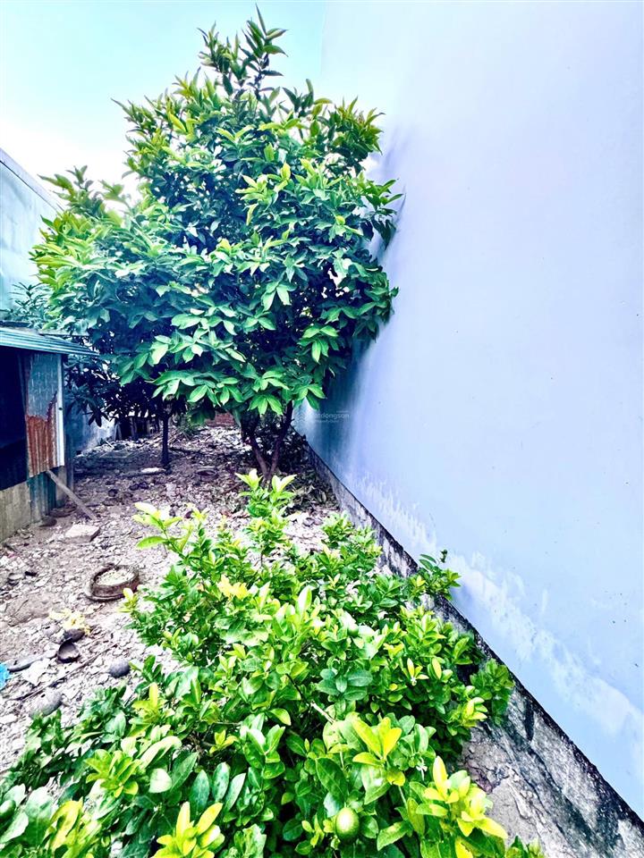 Chính chủ cần bán gấp lô đất full thổ cư ngay phường vĩnh hải, tp. nha trang, khánh hòa