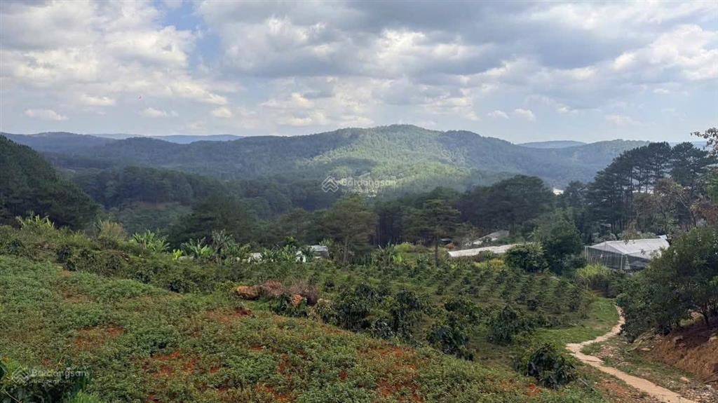 Chính chủ cần bán lô đất vườn thích hợp làm farm nghỉ dưỡng ngay phường 10. đà lạt, lâm đồng