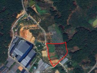 Chính chủ cần bán lô đất vườn thích hợp làm farm nghỉ dưỡng ngay phường 10. đà lạt, lâm đồng