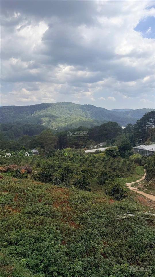 Chính chủ cần bán lô đất vườn thích hợp làm farm nghỉ dưỡng ngay phường 10. đà lạt, lâm đồng