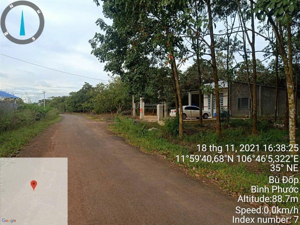 Chính chủ cần bán gấp lô đất đang trồng cao su ngay xã thiện hưng, bù đốp, bình phước