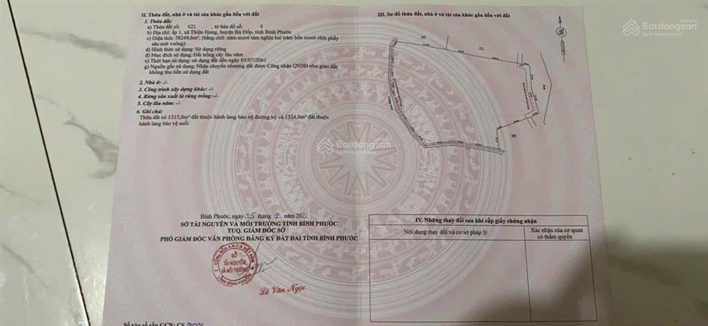 Chính chủ cần bán gấp lô đất đang trồng cao su ngay xã thiện hưng, bù đốp, bình phước
