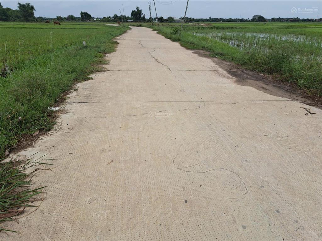 Chính chủ cần bán gấp lô đất quy hoạch thổ cư ngay xã an ninh đông, đức hòa, long an