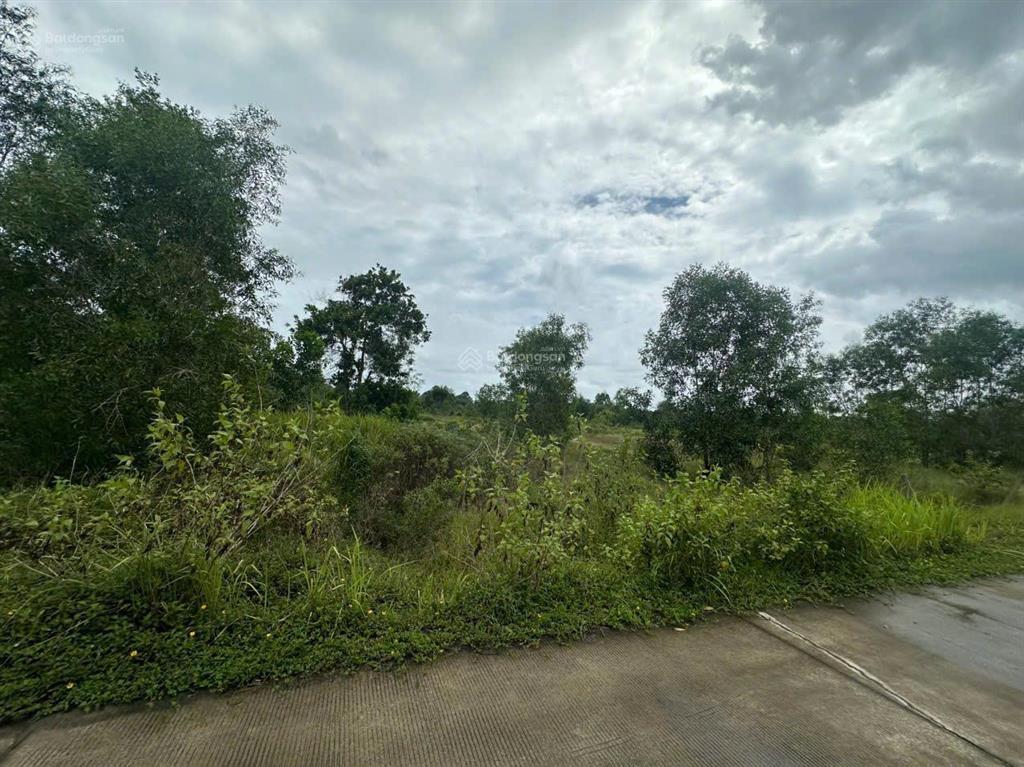 Bán đất tại cửa dương, 60 tỷ, 20000m2, ngõ vào rộng 6m, pháp lý đầy đủ