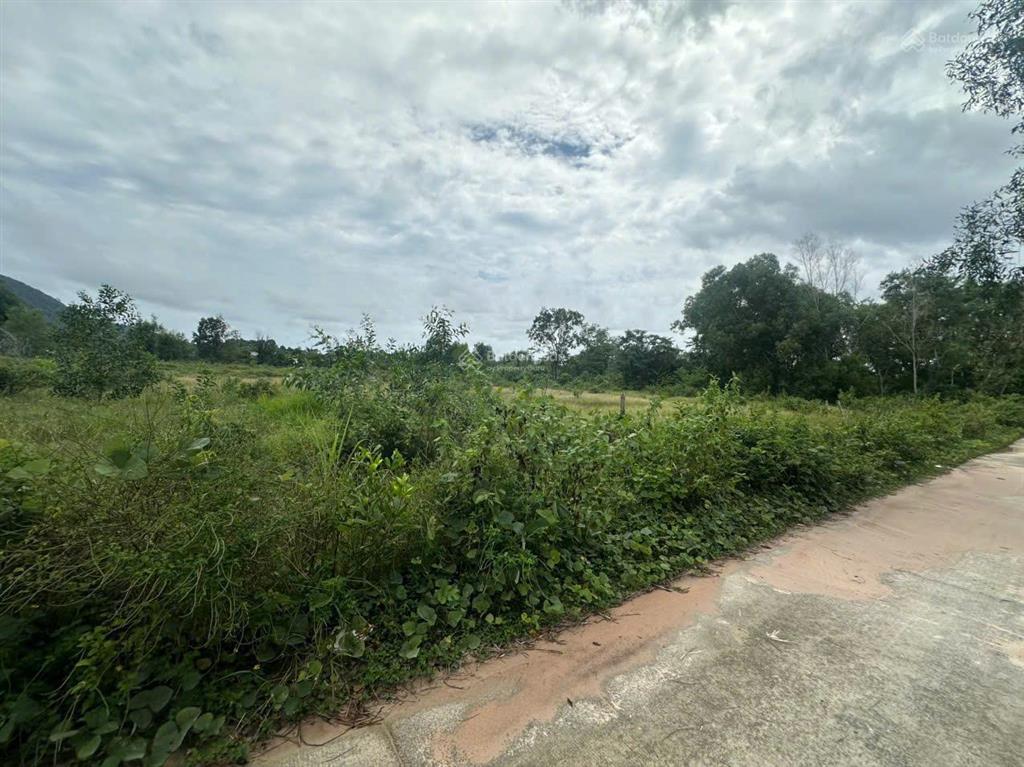Bán đất tại cửa dương, 60 tỷ, 20000m2, ngõ vào rộng 6m, pháp lý đầy đủ