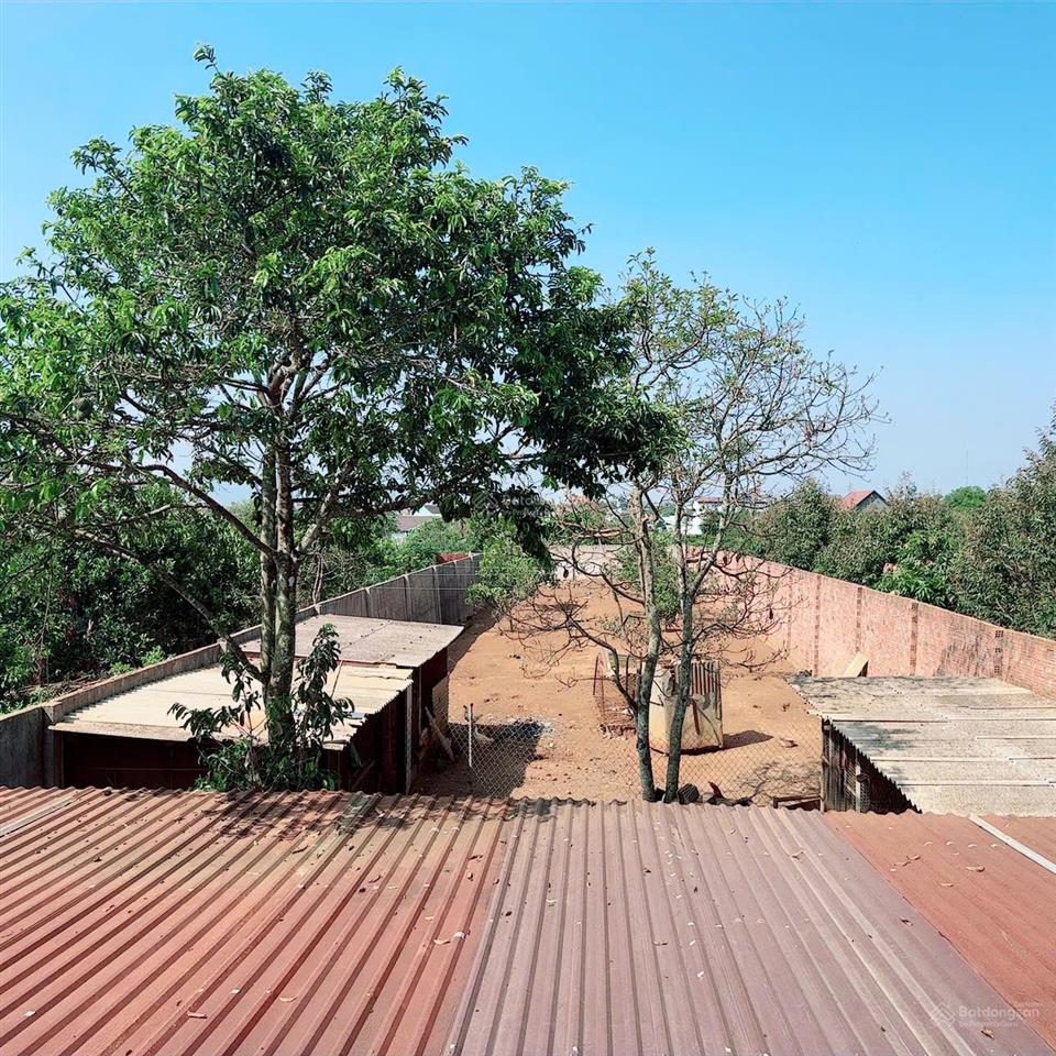 Chính chủ cần bán nhà riêng 2 mt đường ngay phường lộc phát, bảo lộc, lâm đồng