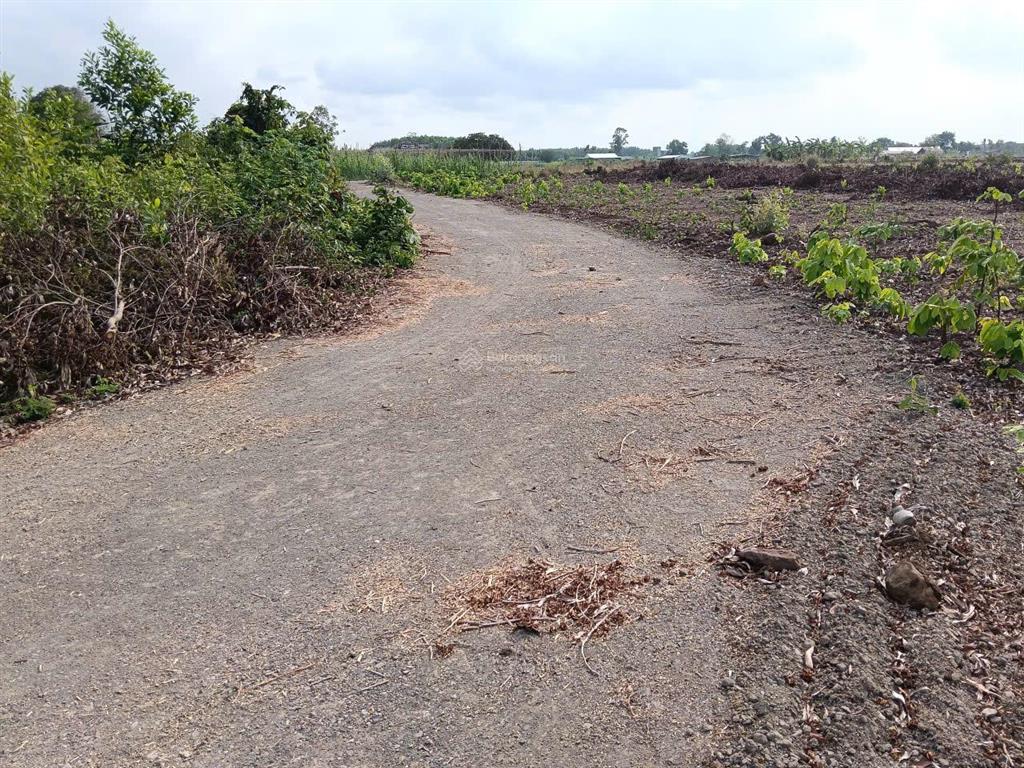 Chính chủ cần bán gấp lô đất xã phước long thọ, đất đỏ, bà rịa vũng tàu