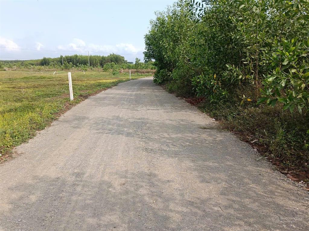 Chính chủ cần bán gấp lô đất xã phước long thọ, đất đỏ, bà rịa vũng tàu