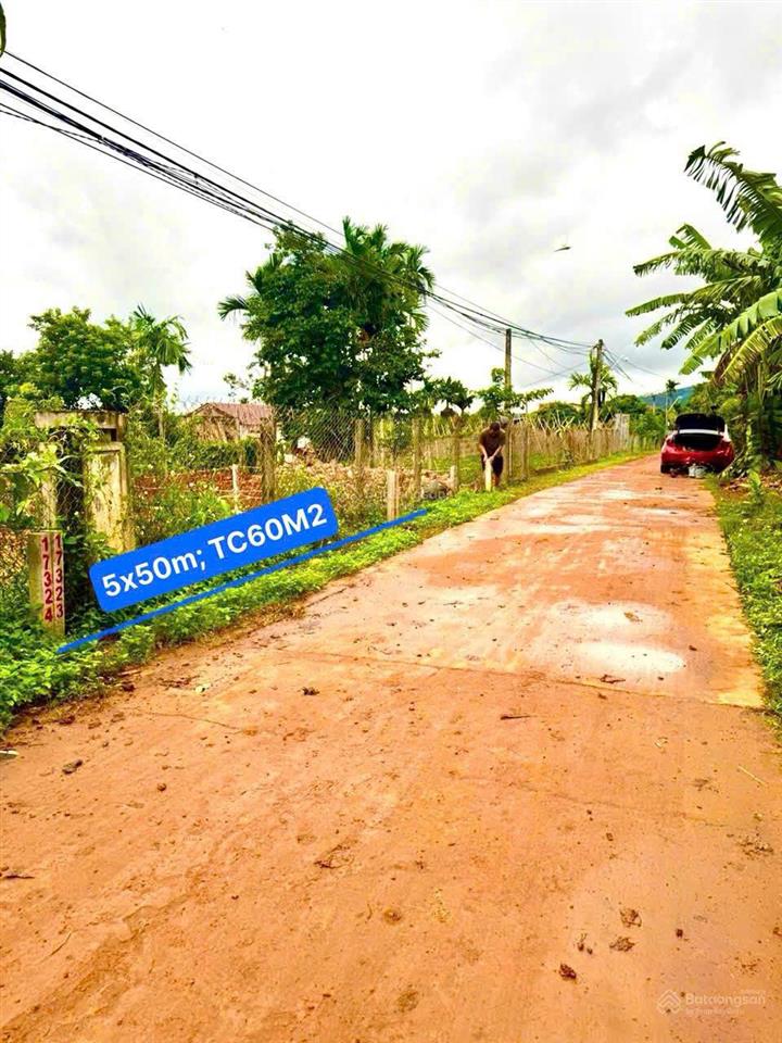 Bán đất tại xã ea ning, huyện cư kuin, đắk lắk, 250 triệu, 245 m2