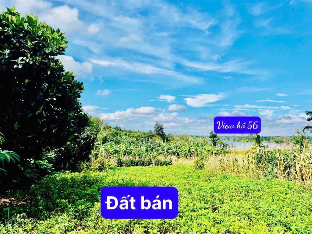 Bán đất tại xã ea ning, huyện cư kuin, đắk lắk, 250 triệu, 245 m2
