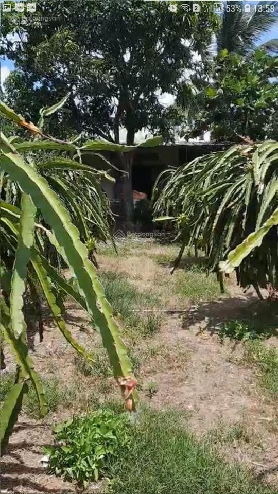 Chính chủ cần tiền bán gấp lô đất giá lỗ ngay hàm cường  hàm thuận nam  bình thuận