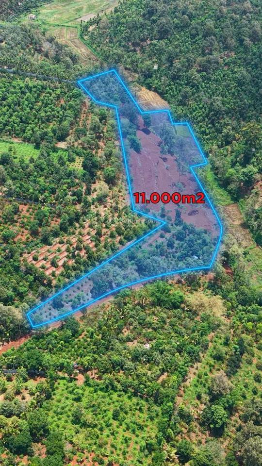 Bán đất tại xã ea tu, 12,9 tỷ, 9000 m2, pháp lý đầy đủ, giá ưu đãi, chính chủ