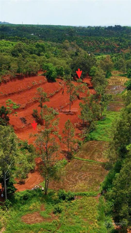 Bán đất tại xã ea tu, 12,9 tỷ, 9000 m2, pháp lý đầy đủ, giá ưu đãi, chính chủ