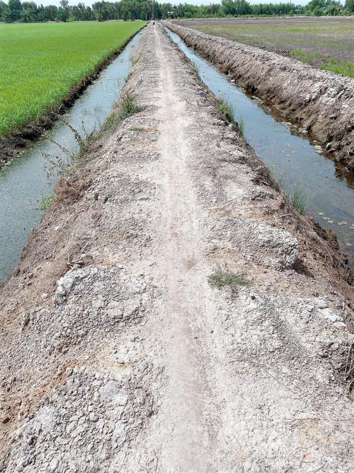 Chính chủ cần bán gấp lô đất rộng giá đầu tư ngay xã bình hòa hưng, đức huệ, long an