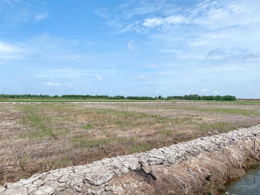 Chính chủ cần bán gấp lô đất rộng giá đầu tư ngay xã bình hòa hưng, đức huệ, long an