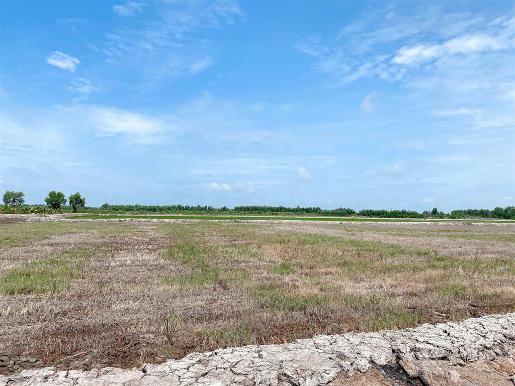 Chính chủ cần bán gấp lô đất rộng giá đầu tư ngay xã bình hòa hưng, đức huệ, long an