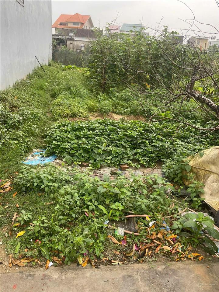 Chính chủ cần bán gấp lô đất vị trí đẹp tiềm năng ngay xã hưng lợi, hưng nguyên, nghệ an