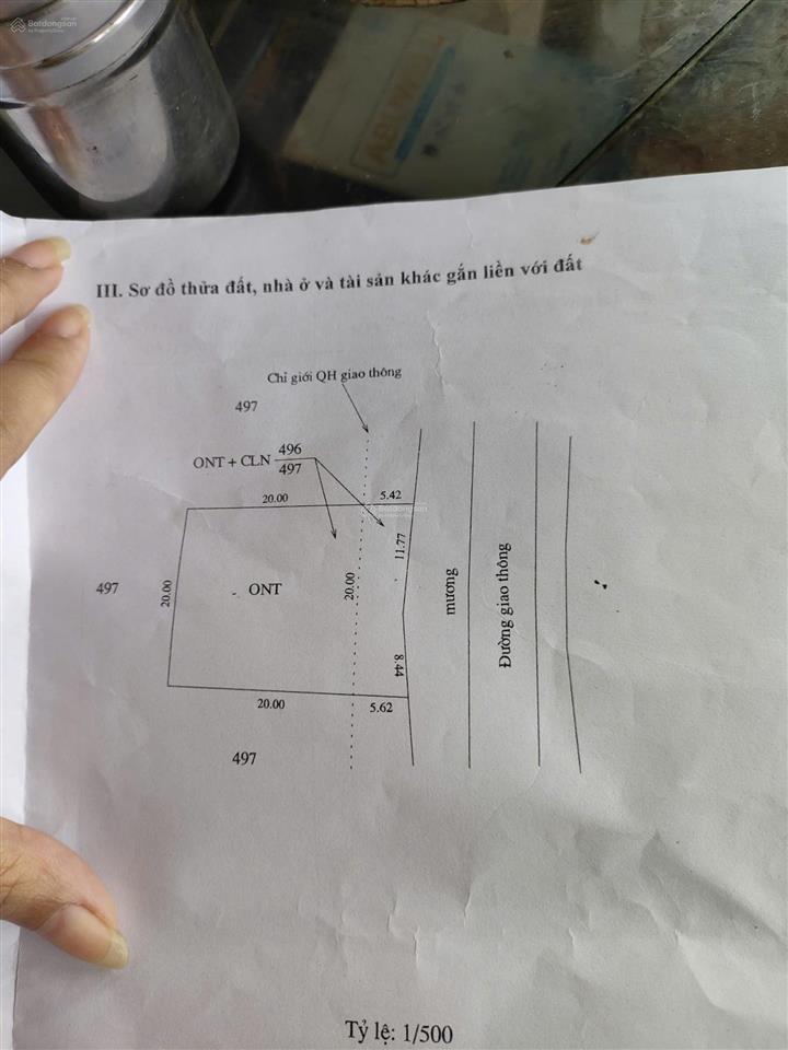 Chính chủ cần bán lô đất rẫy đang trồng cao su 23 năm tuổi ngay xã đăk wil, huyện cư jút, đắk nông