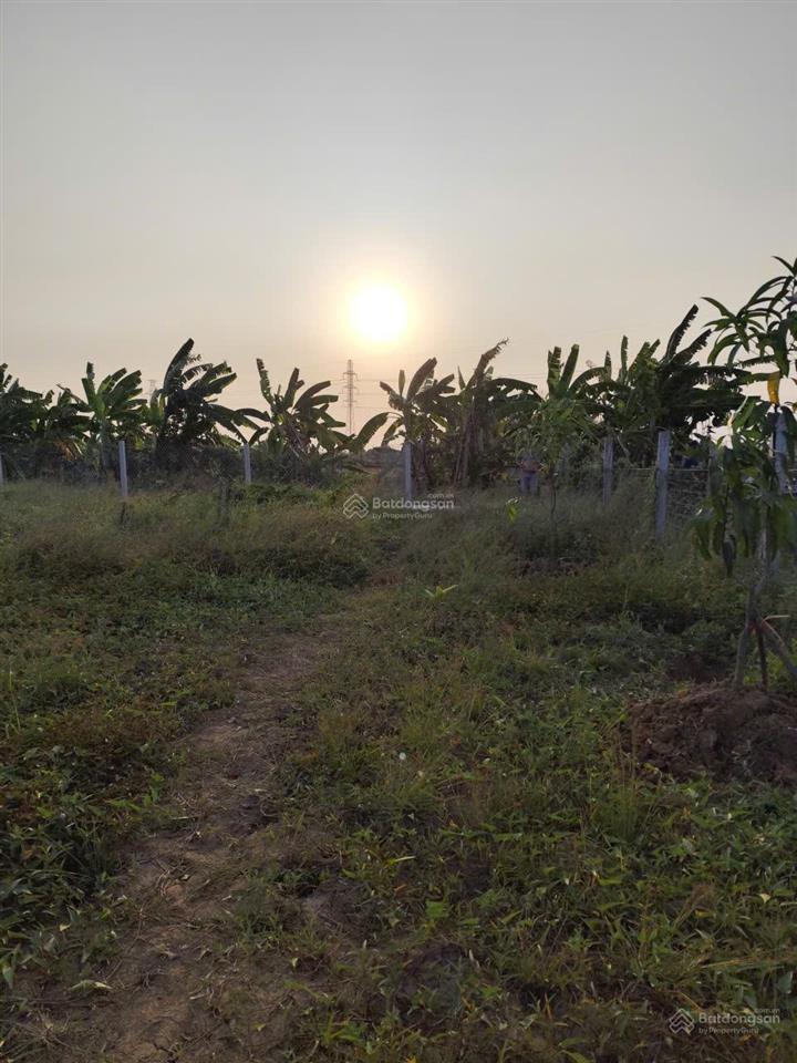 Chính chủ cần bán gấp lô đất mt đường bê tông ngay xã bình chánh, huyện bình chánh, hồ chí minh