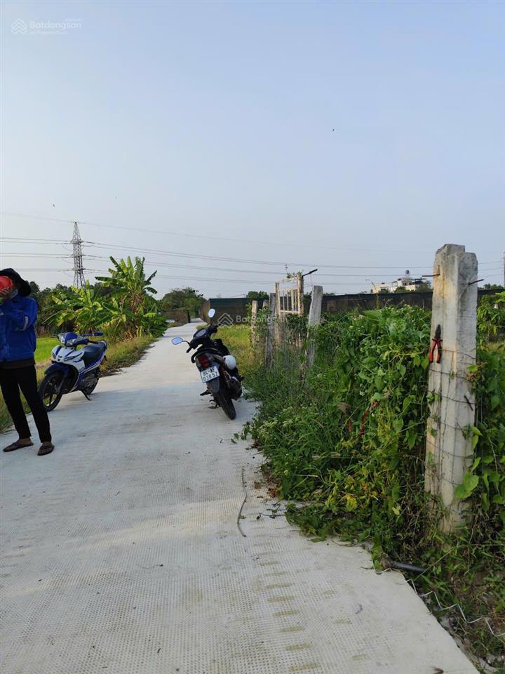 Chính chủ cần bán gấp lô đất mt đường bê tông ngay xã bình chánh, huyện bình chánh, hồ chí minh