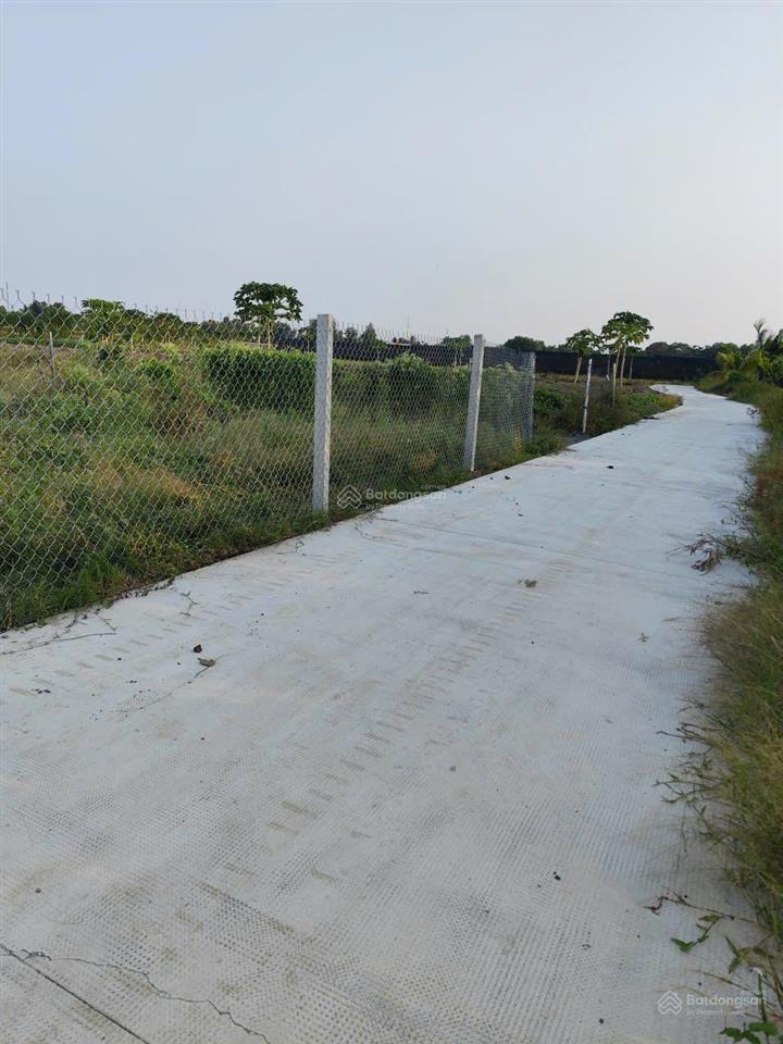 Chính chủ cần bán gấp lô đất mt đường bê tông ngay xã bình chánh, huyện bình chánh, hồ chí minh