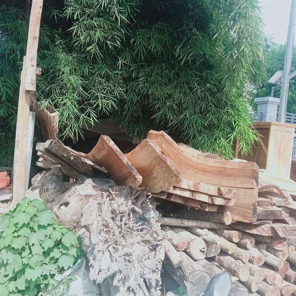Chính chủ cần bán gấp lô đất mặt tiền quốc lộ 53, phường hòa thuận, châu thành, trà vinh