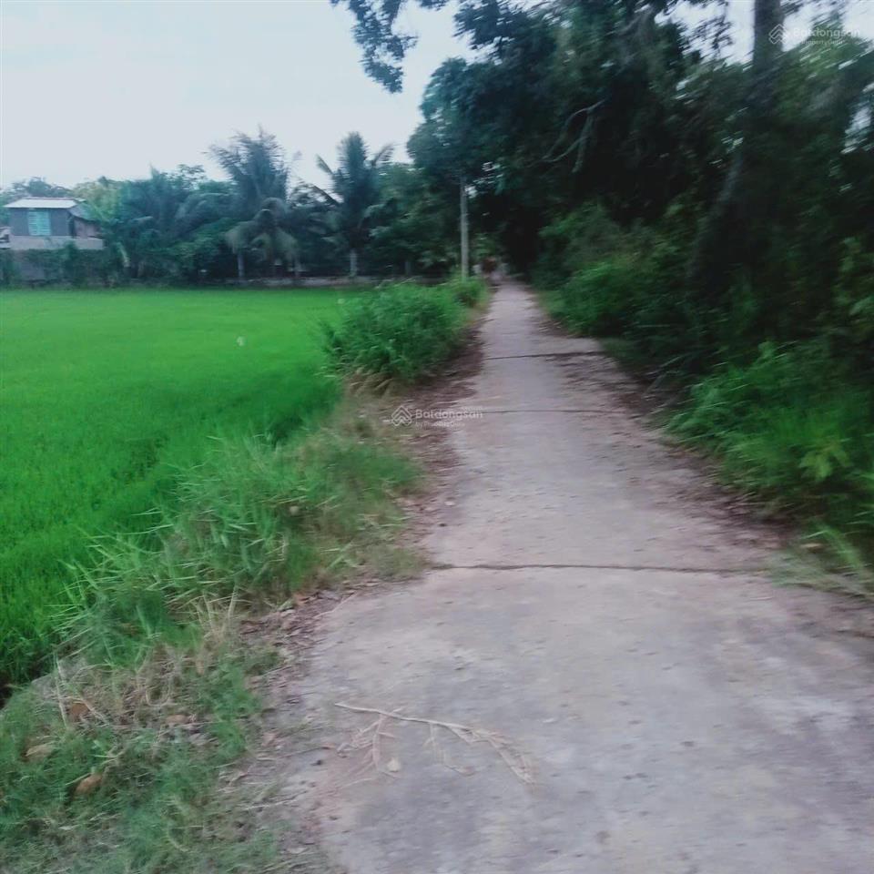 Bán đất tại chung cư kỳ la, xã hòa thuận, châu thành, trà vinh giá 6 tỷ vnd, 4000 m2