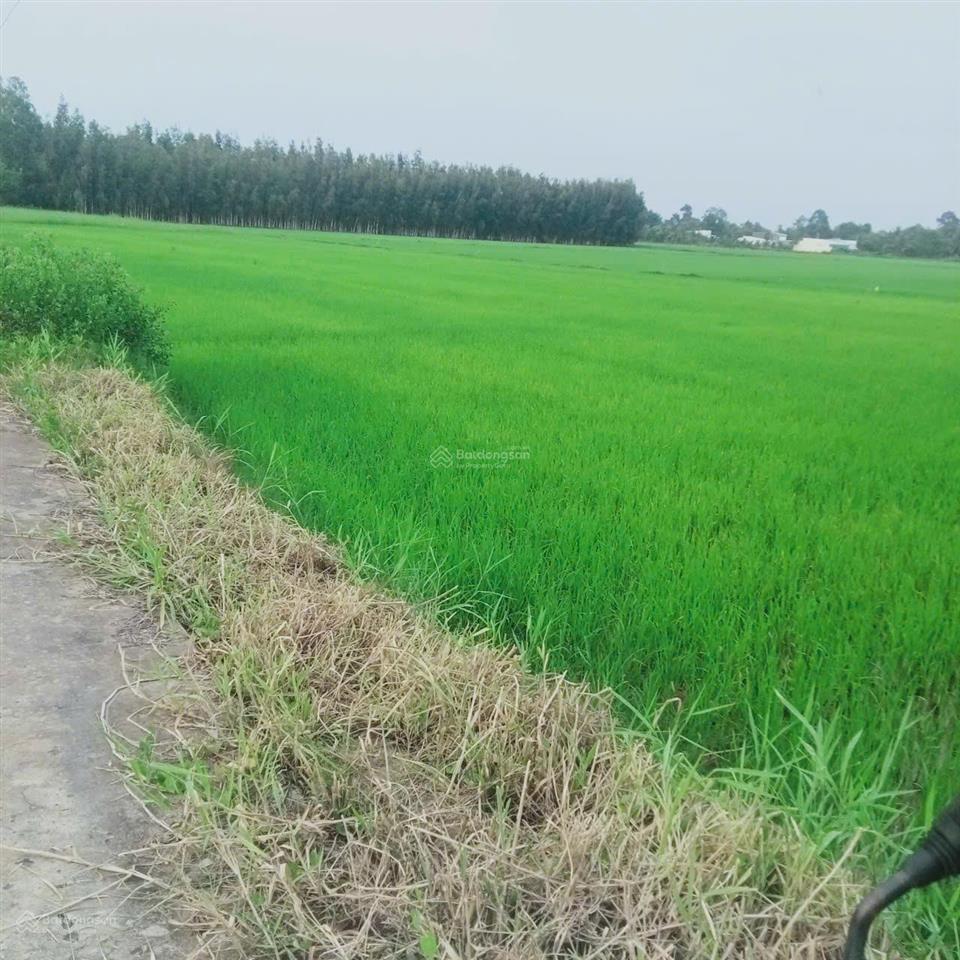 Bán đất tại chung cư kỳ la, xã hòa thuận, châu thành, trà vinh giá 6 tỷ vnd, 4000 m2