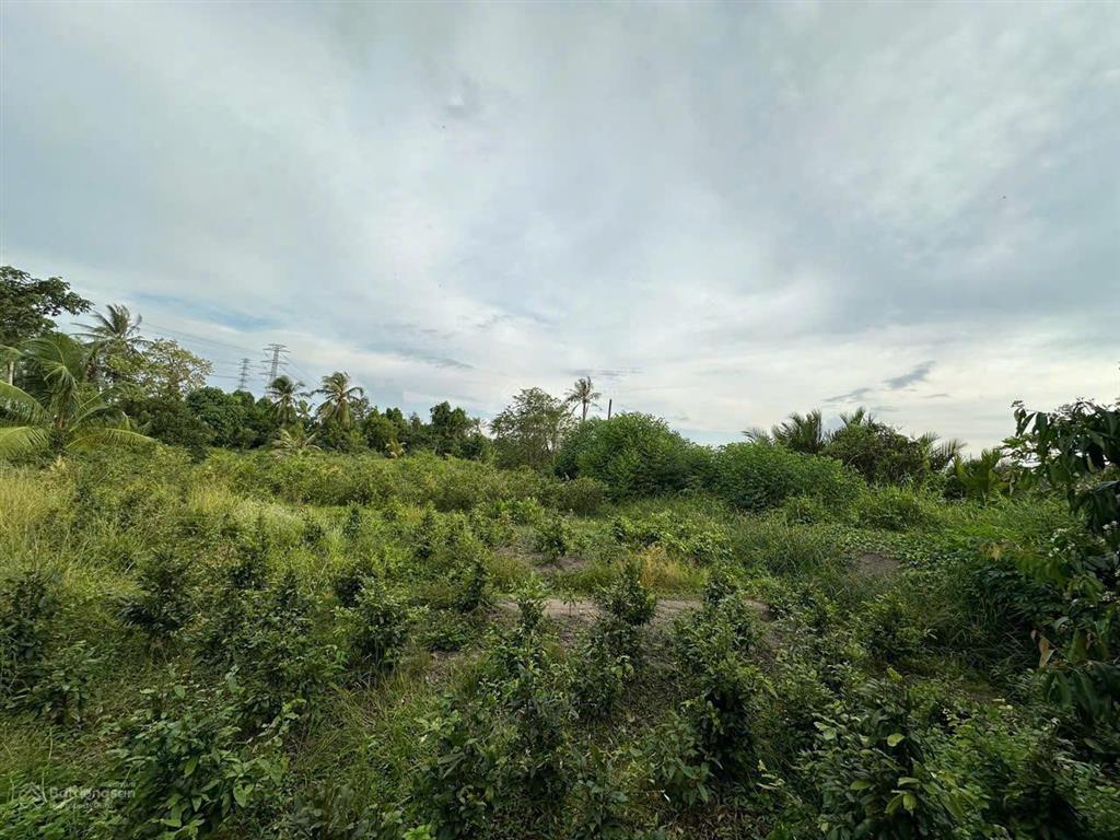 Chính chủ cần bán lô đất mặt tiền view sông vàm cỏ đông xã hựu thạnh, đức hòa, long an