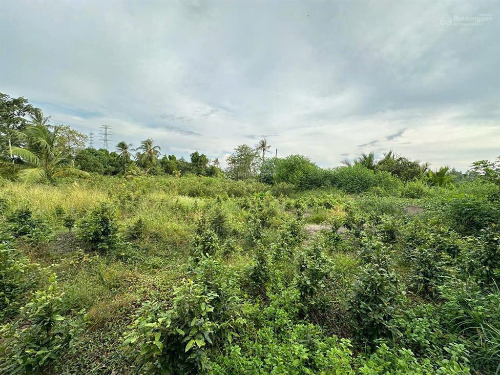 Chính chủ cần bán lô đất mặt tiền view sông vàm cỏ đông xã hựu thạnh, đức hòa, long an