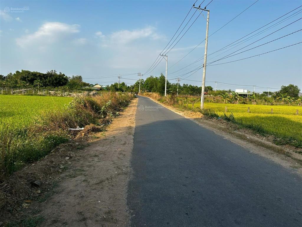 Chính chủ cần gửi bán gấp lô đất rộng mt đường nhựa ngay xã hàm chính, hàm thuận bắc, bình thuận