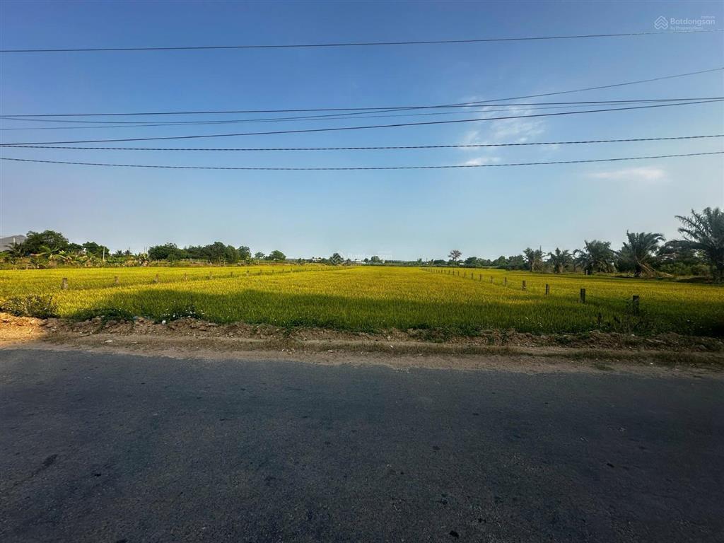 Chính chủ cần gửi bán gấp lô đất rộng mt đường nhựa ngay xã hàm chính, hàm thuận bắc, bình thuận