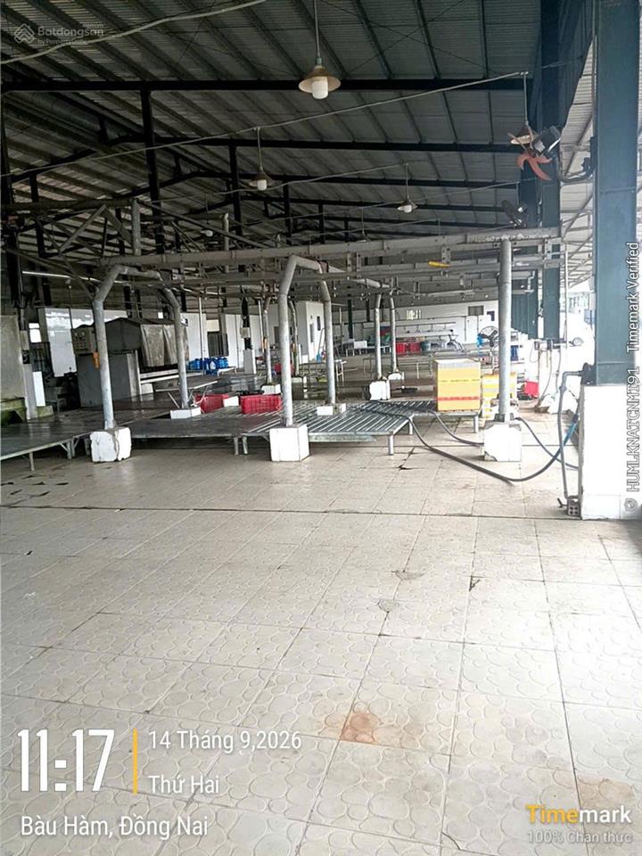 Chính chủ cần bán gấp cơ sở lò mổ gia súc gia cầm ngay xã sông thao, trảng bom, đông nai