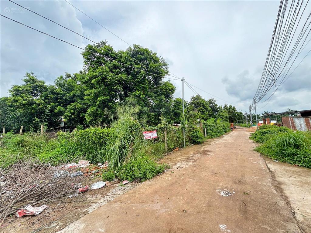 Chính chủ cần bán gấp lô đất vị trí đẹp giá đầu tư ngay xã bàu trâm, tp. long khánh, đồng nai