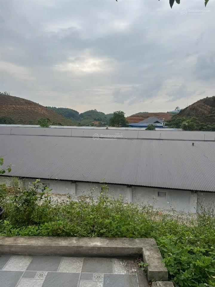 Chính chủ cần bán gấp trang trại rộng đang chăn nuôi ngay xã văn hán, đồng hỷ, thái nguyên