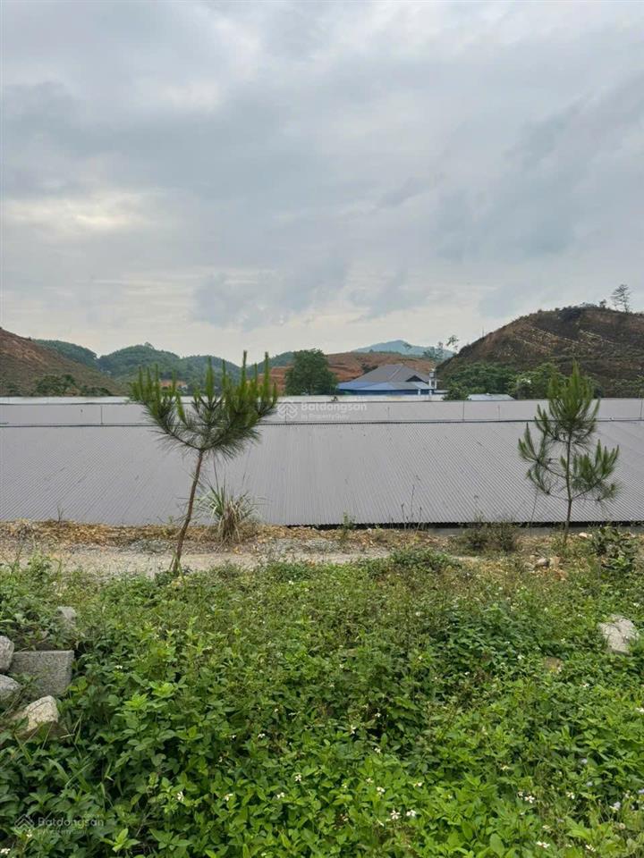 Chính chủ cần bán gấp trang trại rộng đang chăn nuôi ngay xã văn hán, đồng hỷ, thái nguyên