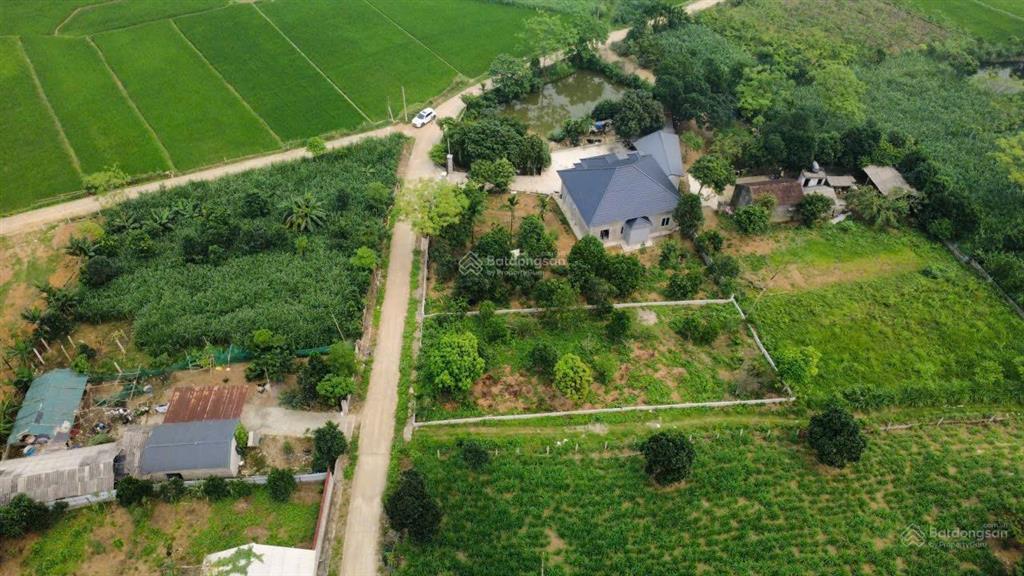 Một lô đất view cực đẹp nhỉnh thẳng núi ba vì. dưới là hương lúa thơm