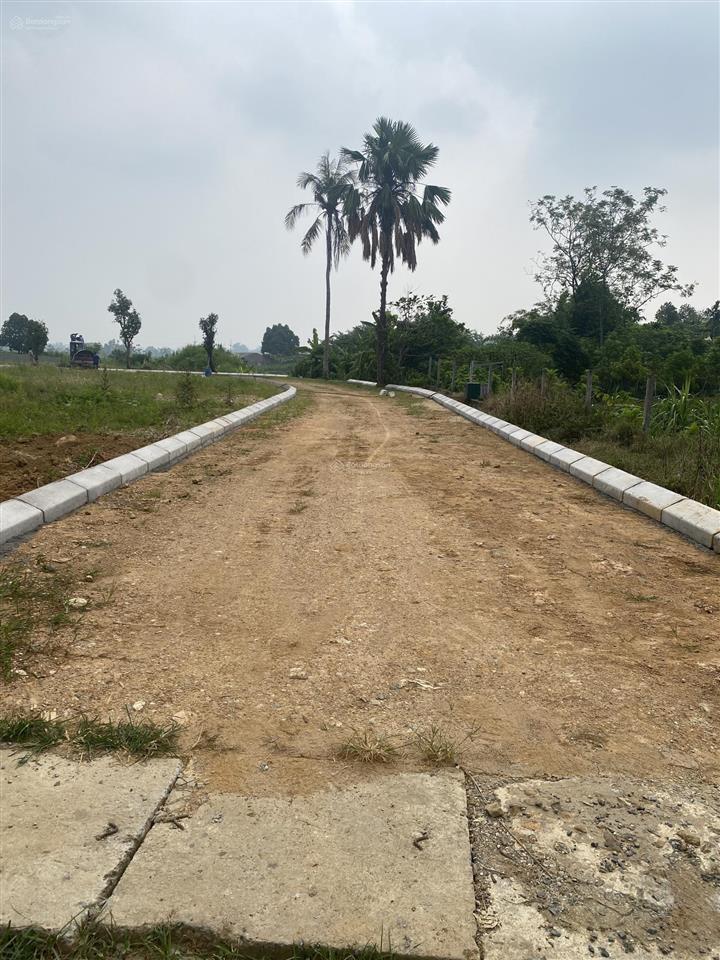 Chính chủ gửi bán lô góc 2 mặt tiền view cánh đồng 0972 731 ***