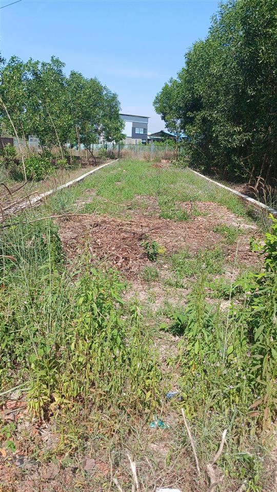 Bán đất 240m2 tại tóc tiên  hắc dịch, 1,6 tỷ, view đẹp