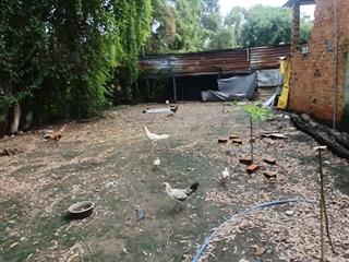 Bán trang trại, khu nghỉ dưỡng tại 1/ đường rạch sậy, 4,5 tỷ, 800m2, view đẹp, nhiều tiện ích