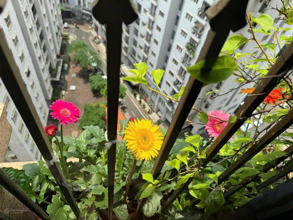 Gia đình mua căn to hơn, bán căn 113m2, chung cư tân hoàng minh hoàng cầu, bao sang tên