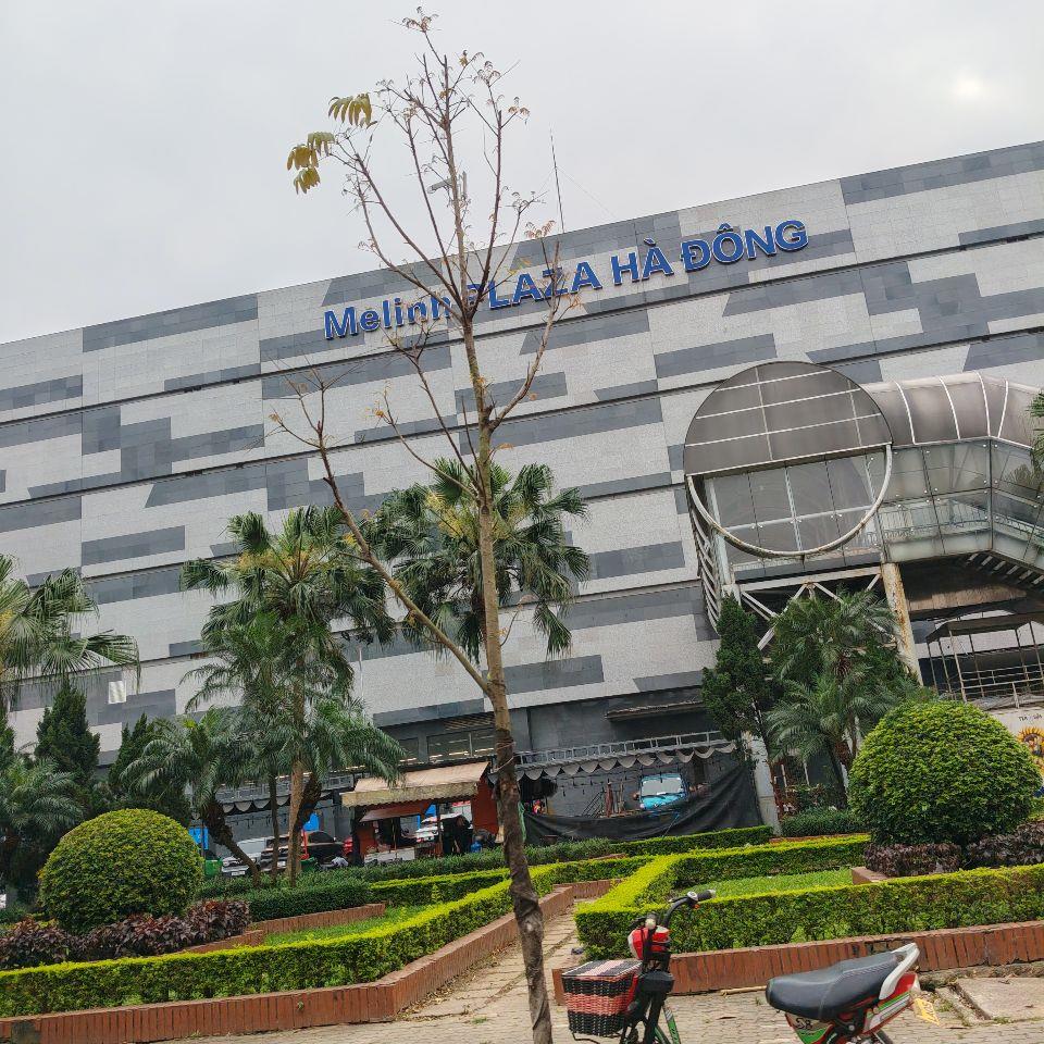 phân lô cán bộ Tô hiệu ,lõi hà đông 50m mt4m 5t,ô tô vào nhà,2 mặt ngõ thông,an sinh tuyệt vời