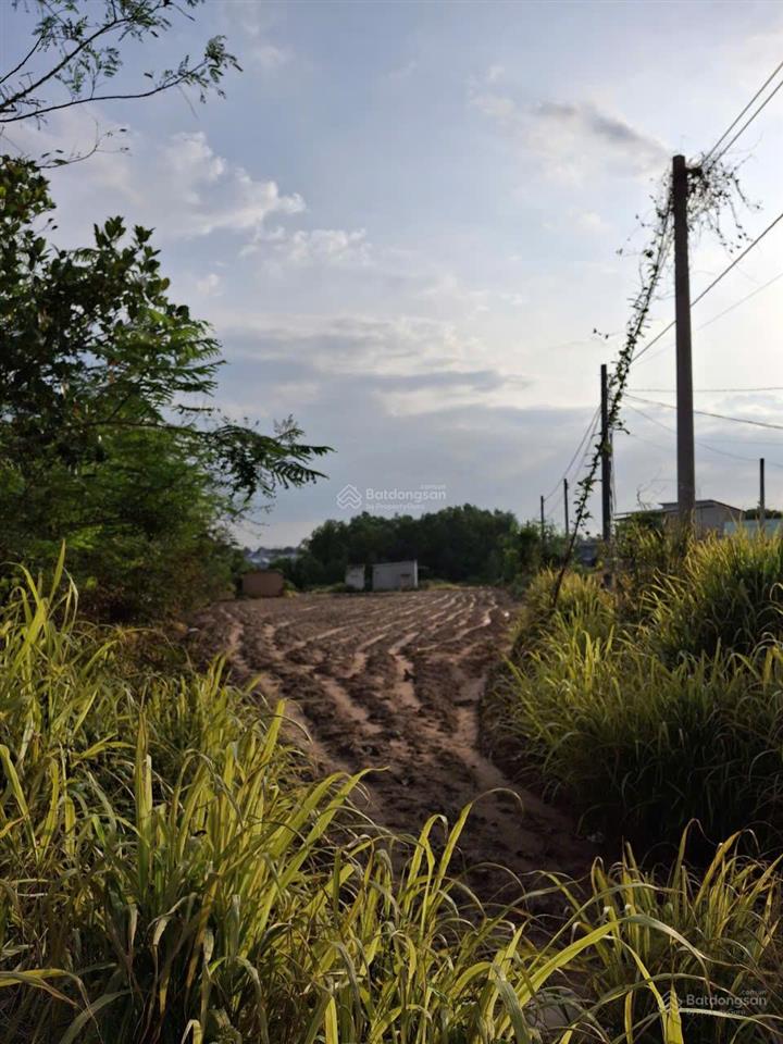 Chính chủ cần bán lô đất 10.816m² đã có sẵn 200m² thổ cư xã hồ tràm, tp hồ chí minh ( xuyên mộc cũ)