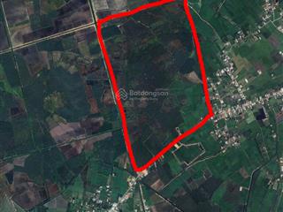 Bán đất tại ấp voi, tỉnh lộ 818, giá cực chất 600 tỷ, 800000 m2