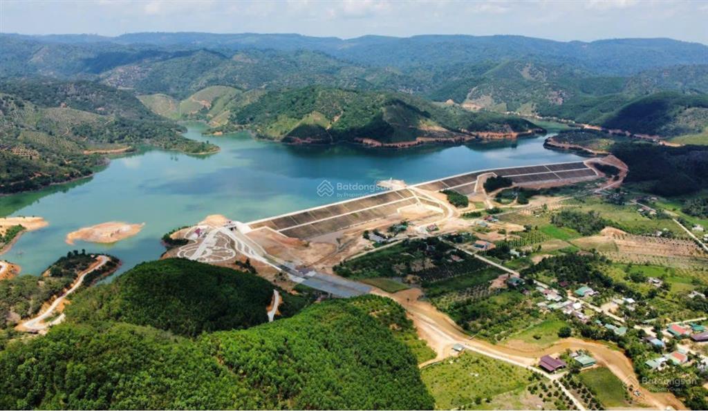 Đất vườn đồi  đất rẫy nông nghiệp cây lâu năm