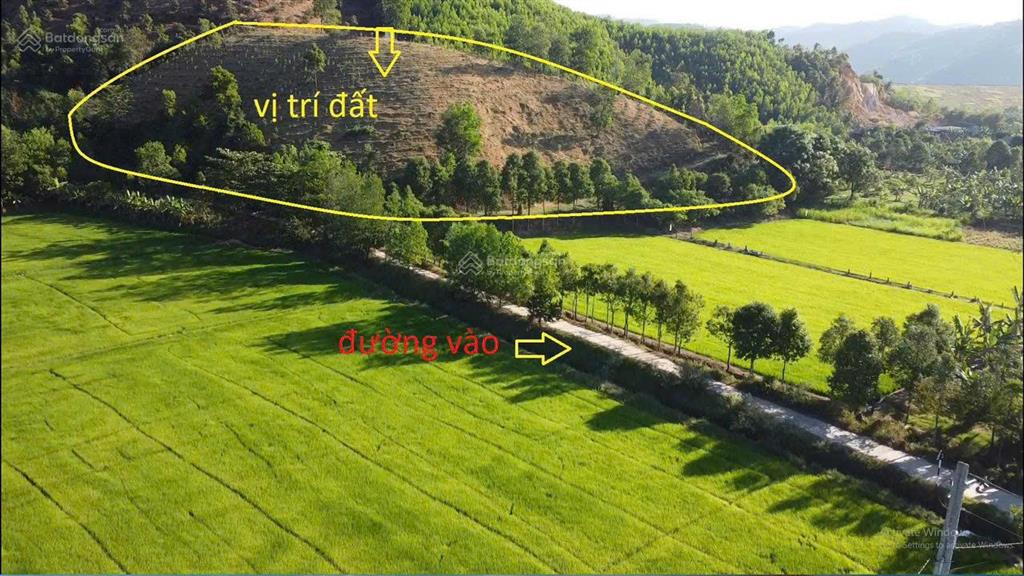 Đất vườn đồi  đất rẫy nông nghiệp cây lâu năm