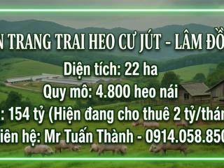 Siêu Trang Trại Heo 22ha - Thu Nhập cho thuê 24 Tỷ/Năm