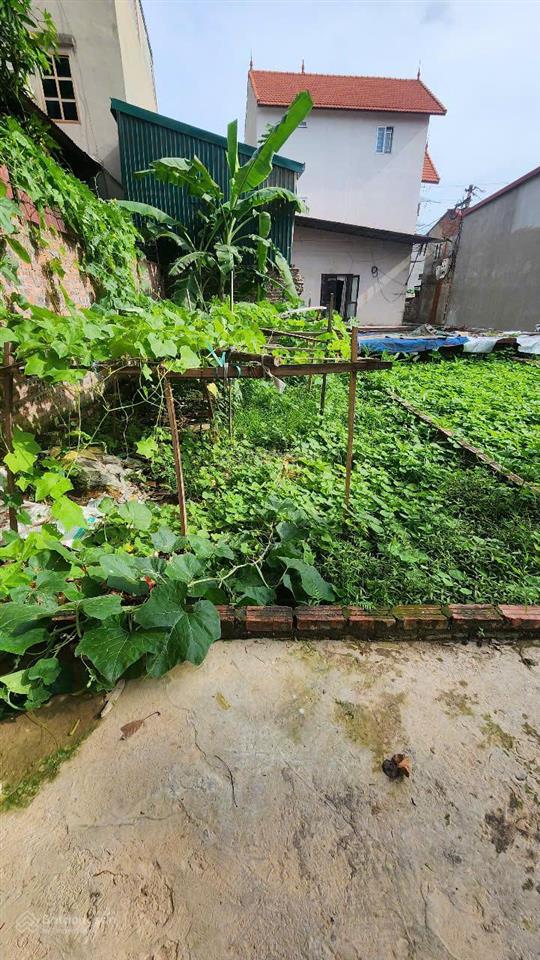 Bán đất vân hà vuông đẹp, trung tâm xã, 40m2, mt 4.5m, chào 2.45 tỷ, ô tô gần, đầu tư  xây ở